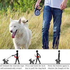 DTOPBUYAGE - Laisse rétractable 5 m pour chiens petit moyen taille vert