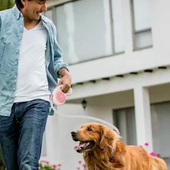 DTOPBUYAGE - Laisse rétractable antidérapante pour chiens