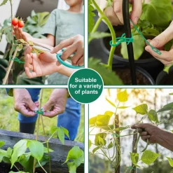 DTOPBUYAGE - Lot de 50 attaches réglables pour plantes 17cm*50 dtopbuyage