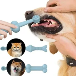 DTOPBUYAGE - Lot de 2 brosses à dents en silicone poisson os bleu pour animaux