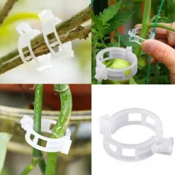 DTOPBUYAGE - Lot de 50 pinces plastiques pour plantes blanc dtopbuyage