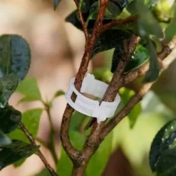 DTOPBUYAGE - Lot de 50 pinces plastiques pour plantes blanc dtopbuyage