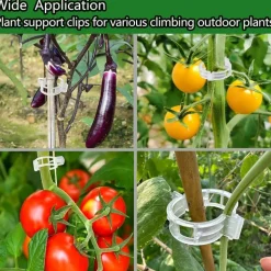 DTOPBUYAGE - Lot de 50 pinces plastiques pour plantes blanc dtopbuyage