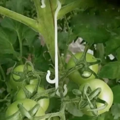 DTOPBUYAGE - Lot de 50 pinces à tomates en j 13cm dtopbuyage