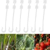 DTOPBUYAGE - Lot de 50 pinces à tomates en j 16cm dtopbuyage