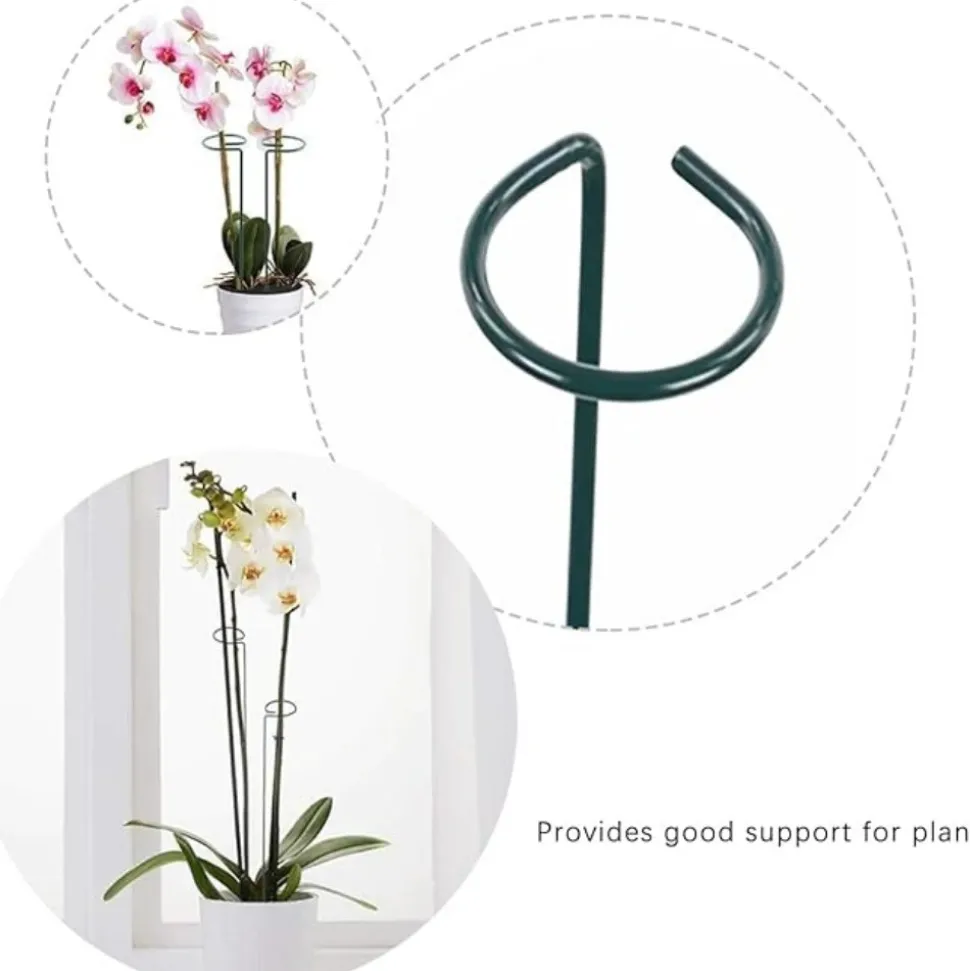 DTOPBUYAGE - Lot de 10 tuteurs en métal pour plantes
