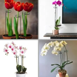 DTOPBUYAGE - Lot de 10 tuteurs en métal pour plantes