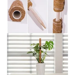 DTOPBUYAGE - Lot de 4 tuteurs en coco pour plantes