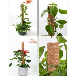 DTOPBUYAGE - Lot de 4 tuteurs en coco pour plantes