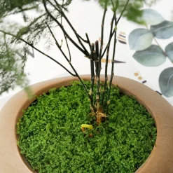 DTOPBUYAGE - Mousse artificielle de 30g*2 pour décoration de jardin dtopbuyage