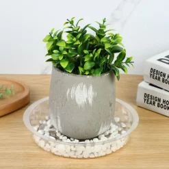 DTOPBUYAGE - Plateaux de soutènement pour pots de plantes transparents 20cm10pcs dtopbuyage