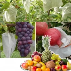 DTOPBUYAGE - Sachets de protection pour fruits en non - tissé 20*30cm 50 pièces dtopbuyage