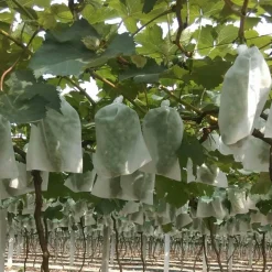 DTOPBUYAGE - Sachets de protection pour fruits en non - tissé épais avec cordon 30*38cm 50 pièces dtopbuyage