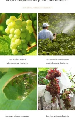 DTOPBUYAGE - Sachets de protection pour fruits en non - tissé 15*22cm 50 pièces dtopbuyage