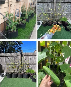 DTOPBUYAGE - Sacs de plantation noirs en non-tissé 5 gallons 5 pièces dtopbuyage