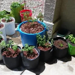 DTOPBUYAGE - Sacs de plantation noirs en non-tissé 12 gallons 5 pièces dtopbuyage