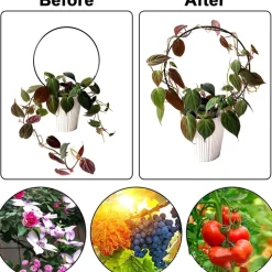 DTOPBUYAGE - Supports de treillis en fer circulaires pour plantes grimpantes dtopbuyage