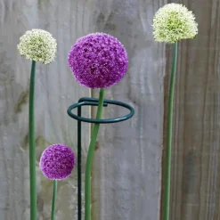 DTOPBUYAGE - Supports pour fleurs en fer forgé 25cm, 10 pièces dtopbuyage