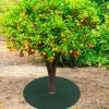 DTOPBUYAGE - Tissu de jardinage non - tissé diamètre 82cm lot de 5 dtopbuyage