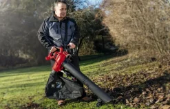 EINHELL - Aspirateur souffleur broyeur électrique gc-el 3000 e