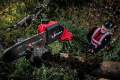 EINHELL - Élagueuse sur perche gp-lc 18/20 li t bl-solo - 18v - oregon 18cm - manche télescopique- sans batterie/chargeur