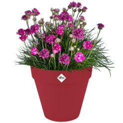 ELHO - Pot Loft rond à réserve d'eau, coloris rouge théâtre - D.24,5xH.22cm