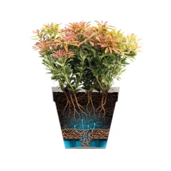 ELHO - Pot Loft rond à réserve d'eau, coloris rouge théâtre - D.19,3xH.17,5cm