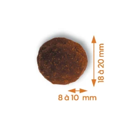 EMPREINTES - Croquettes Chien moyenne & grande taille au poulet sans céréales 12kg