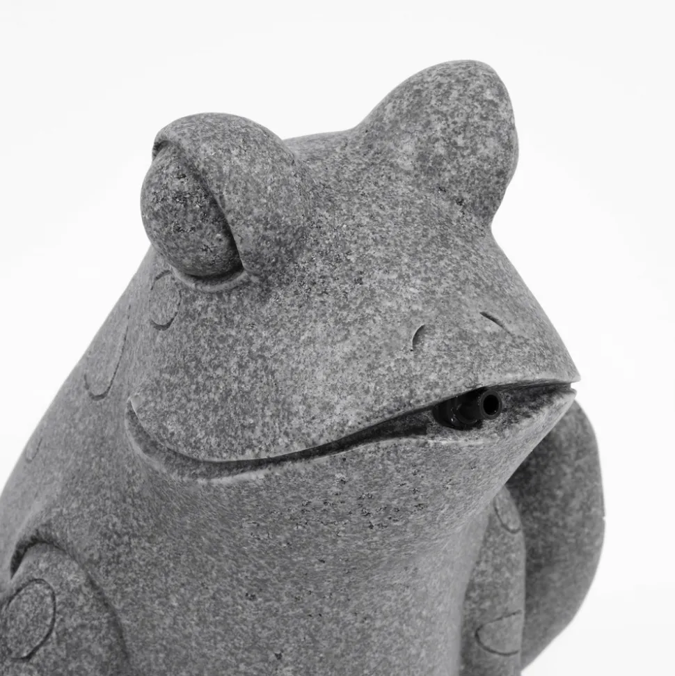ESOTEC - Esotec gargouille avec pompe solaire frosch figure de bassin figure de jardin 101668