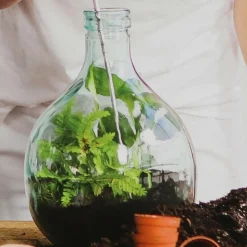 ESSCHERT'S GARDEN - Kit terrarium végétal à faire soi-même diy 5 litres