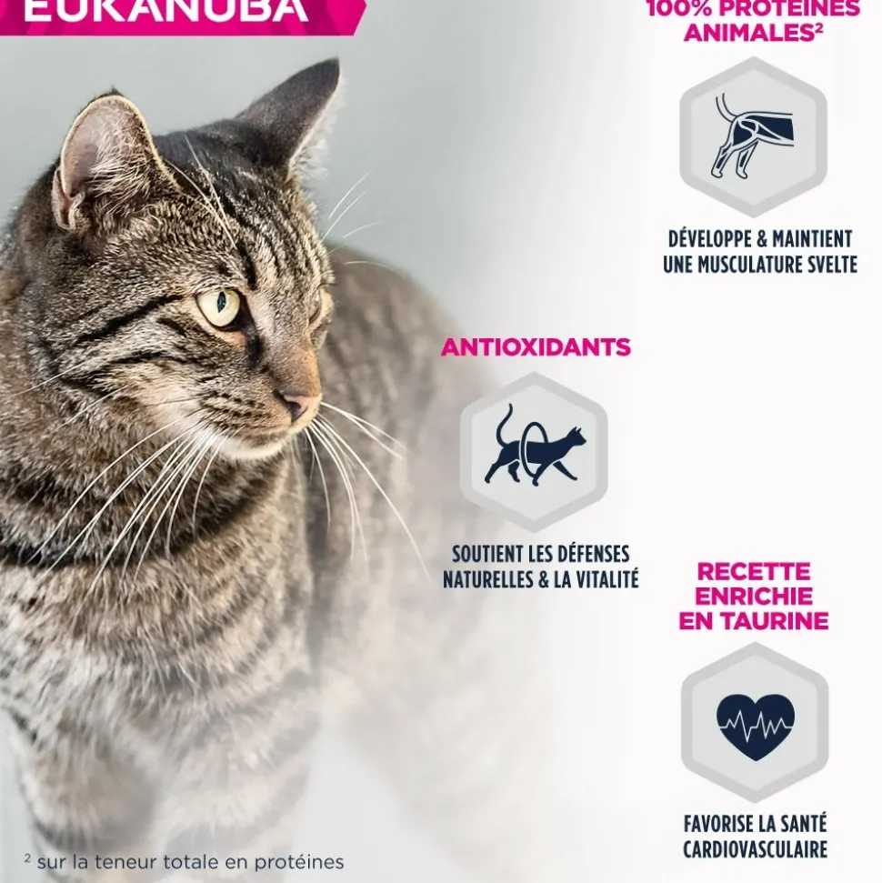 EUKANUBA - Eukanuba - chat adulte - sans céréales - pâtée agneau 85 g