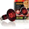 EXO TERRA - Ampoule chauffante pour terrarium - - basking spot - chaleur infrarouge - 100w
