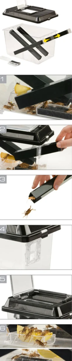 EXO TERRA - Boite pour grillons vivants - cricket pen large - terrarium plastique pour l'élevage des insectes