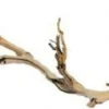 EXO TERRA - Branche de vigne sable reptiles grand