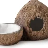 EXO TERRA - Cachette avec bol à eau noix de coco reptiles