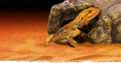 EXO TERRA - Cachette reptile grotte tres grand