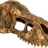 EXO TERRA - Cachette t-rex skull small