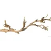 EXO TERRA - Décoration pied de vigne sablé - grand modele - pour terrarium