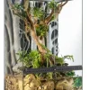 EXO TERRA - Exo terra terr/paludarium m/x-tall, 60x45x90cm