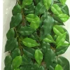 EXO TERRA - Feuillage ficus reptiles grand