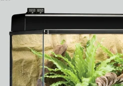 EXO TERRA - Hygromètre digital terrarium