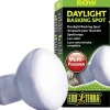 EXO TERRA - Lampe daylight basking spot 50w pour reptiles