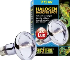 EXO TERRA - Lampe halogen basking spot 100w reptiles