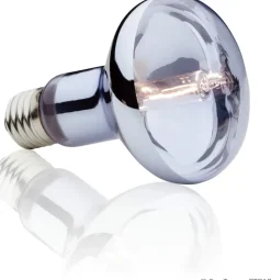 EXO TERRA - Lampe halogen basking spot 100w reptiles