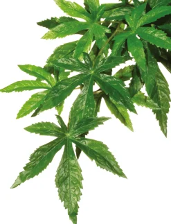 EXO TERRA - Plantes rainforest à suspendre feuillage abutilon moyen