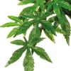 EXO TERRA - Plantes rainforest à suspendre feuillage abutilon grand
