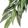 EXO TERRA - Plantes rainforest à suspendre feuillage ruscus grand