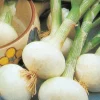FABRE GRAINES - Oignon blanc extra hatif de malakoff - 5 g