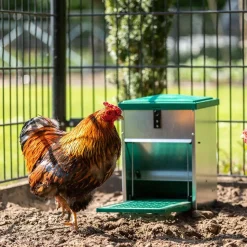 FEEDOMATIC - Mangeoire anti-nuisibles 5 kg pour 3 poules