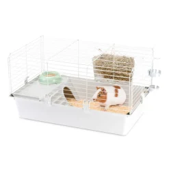 FERPLAST - Cage spacieuse pour cochons d'inde cavie 80, système de fermeture sécurité, accessoires inclus, en métal vernis gris et plastique